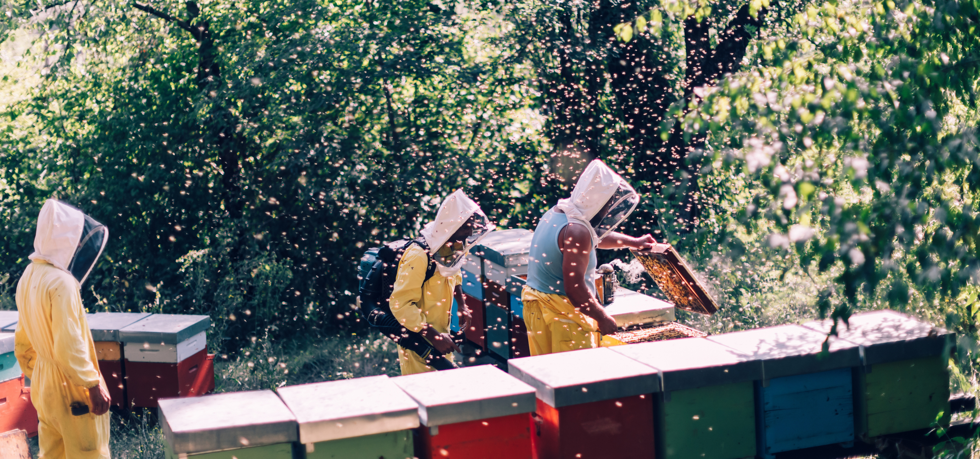 People in beekeeping suits working with beehives in a natural setting from Joreen Brands