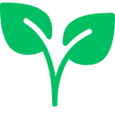 Green icon of two leaves on a white background